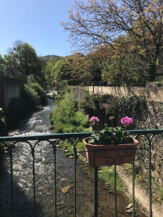 Residence Le Petit Paradis Labastide-Rouairoux Eksteriør bilde